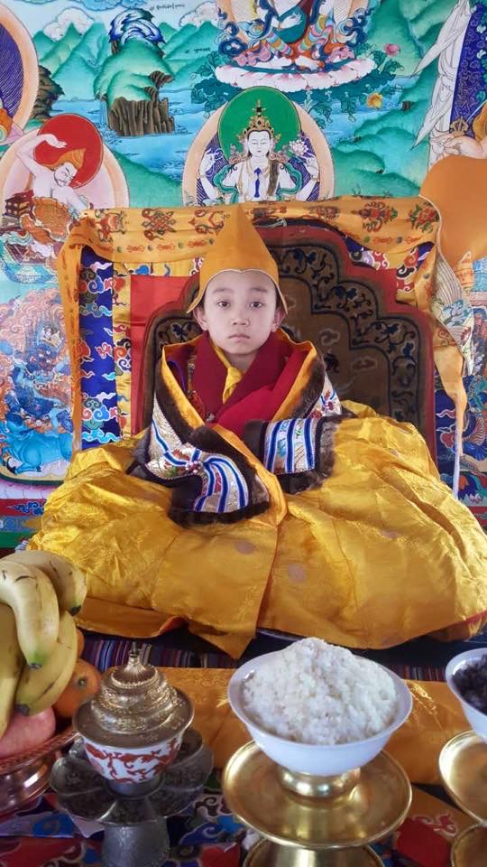 Kyabje Dagom Rinpoche's Reincarnation